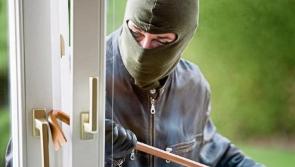 Would-be burglars in Kildare scared off by homeowner