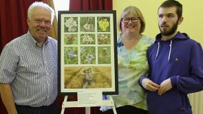 Ladies Club in Midlands explore biodiversity and nature through the camera lens