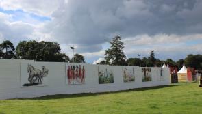Limerick artists' work to be showcased at Electric Picnic's 'hurricane' art display