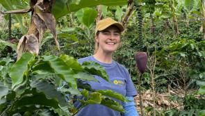 Globe-trotting Offaly woman is living the dream