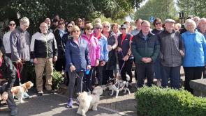 Large crowd at run and walk in memory of missing Offaly woman