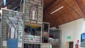 Fenagh parent and toddler group marks 20th anniversary