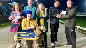 Derry Greyhounds: Starcash Barry wins the Edgar Memorial final