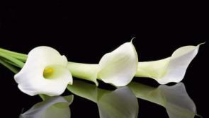 RIP: Tipperary deaths and funeral details, September 4