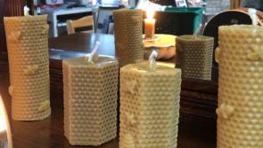 Vast range of activities and free workshops coming to Clare libraries this autumn