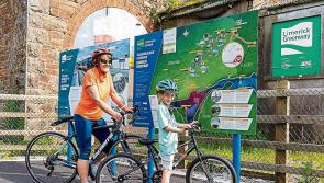 Limerick Council projects nominated for local government awards