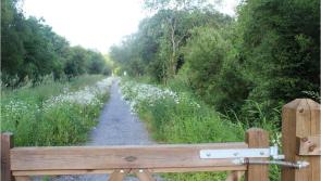 Additional lighting sought for walking area in Leitrim 