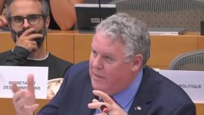 Farmers in Louth will lose out in new Mercosur proposal claims MEP