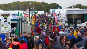 Judge questions need for four bars at National Ploughing Championships in Tullamore