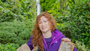 Tipperary honey farm set to showcase innovation at National Ploughing Championships
