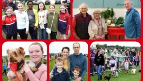 'We pray it's a fine day' huge Laois community agricultural show