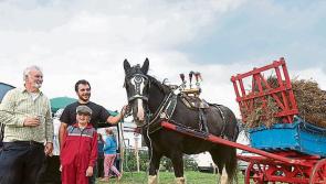 Knock Threshing Festival promises fun for all in Laois!