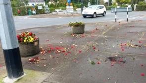 ''Why?'' Tullamore Tidy Towns queston mindless vandalism