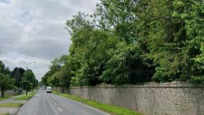 Safety concerns over overhanging tress on busy road in Tullamore