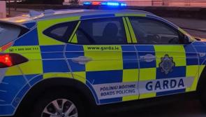 A garden table and three concrete benches stolen from Donegal garden