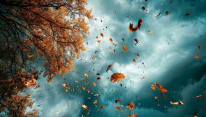 'Autumn gales loom' - Ireland in for strong winds and heavy showers in coming days