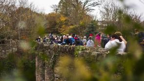 Buncrana to host family fun and wellness day to mark World Suicide Prevention Day