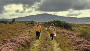 Belfast-native shares story of relocating on #LoveDonegal Day 