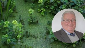 UUP urges assembly to combat pollution 