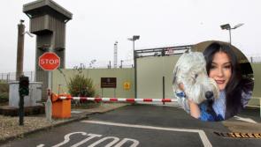 Animal Welfare officers confirm Magilligan prison comfort dog shows “no signs of neglect”