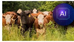 WOW: Tipperary firm ploughing ahead after launch of new farming AI assistant