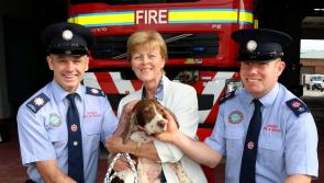 PICTURES: Limerick firefighters thanked for rescuing precious Ruby after K-999 call