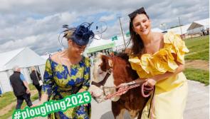  'Ploughing ahead' for the Great Potato Vote expected to be 'a mash hit' in Screggan