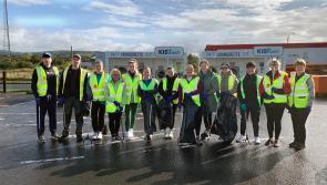 Volunteers join Roscrea Tidy Towns in 'major litter pick' as part of local Community Day