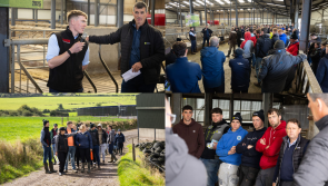 PICTURES: Large crowds attend Tirlán Young Farmer Event at  Byrne Family Farm in Waterford