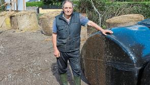 Former Limerick hurling boss: 'I've been pro-job my entire life'