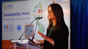 Mid-West Sustainability Network leads green action with Shannon Chamber