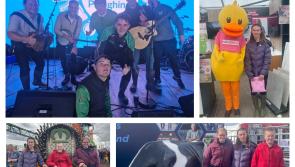 PICTURES: Cashel pupils swap schoolwork for Screggan on Day 1 of National Ploughing Championships