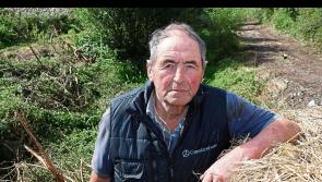 Former Limerick hurling boss gets threatening phone calls over planning objections