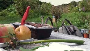 Farm and Garden Open Day at Joy Farm at Ards Friary this Saturday