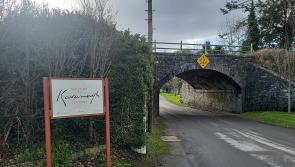 Inniskeen Enterprise Development Group to hold AGM