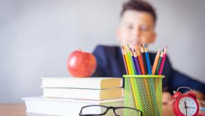 Query over delivery timeline for two new Kilkenny schools