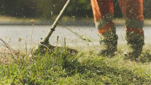 Laois Tidy Towns group 'struggling' with upkeep of village greens
