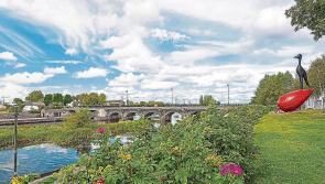 Taskforce request has been made by local authority to boost Co. Longford area 