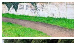 Roscrea Tidy Towns transform walkway with new mural designed by local schoolkids