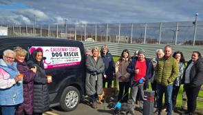 Peaceful protest at Magiligan prison regarding the protection of pooches