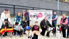 WATCH: Brandywell Greyhound Supporters Group champions Council’s 'Green Dog Walker' initiative