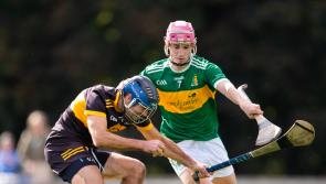 TEAM OF THE WEEK: Tipperary Premier Intermediate Hurling Championship - Prelim. quarter-finals