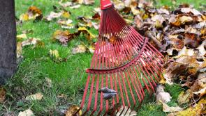 Community Employment Scheme seeking environmental workers and caretakers