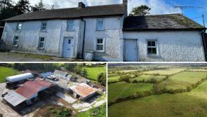 FOR SALE: 'Highly attractive and versatile farming enterprise' in Kilkenny