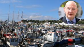 Greencastle Harbour &euro;16 million breakwater investment &lsquo;in vain&rsquo; without dredging