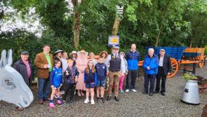 Auld Haggert coffee morning raises funds for Offaly Hospice