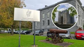 Settlement approved in case of Limerick girl who was bitten by horse at tourist attraction