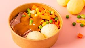 Hot school meals not feeding children on special diets - Laois councillor