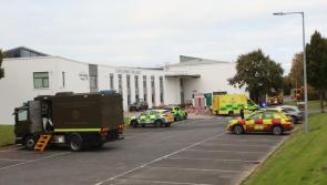 Limerick mum of children at school at centre of anthrax scare describes ‘harrowing’ experience