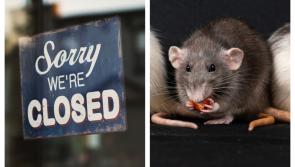 'Live rats on premises' - Five food businesses ordered to close last month 